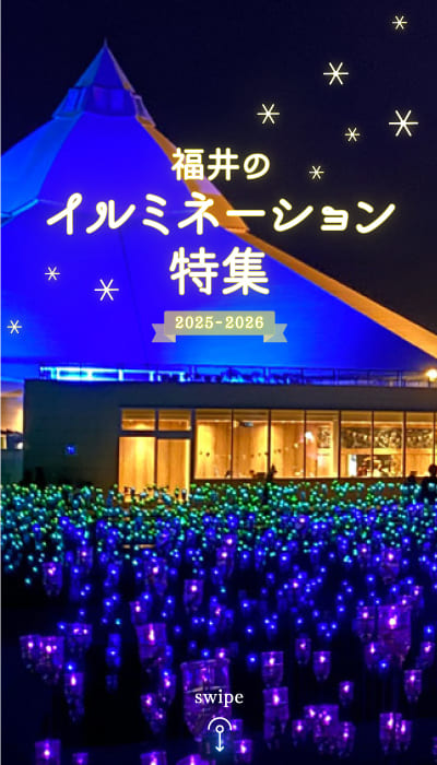 【2025～2026年最新版】福井のイルミネーション特集☆冬空を美しく彩る灯りを見に行こう♪