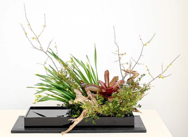 第51回 水仙まつり 水仙いけ花展