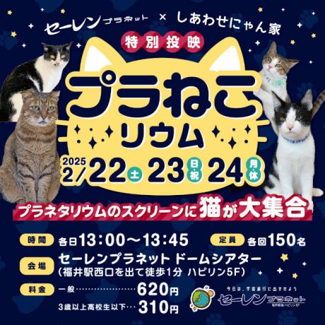 プラねこリウム