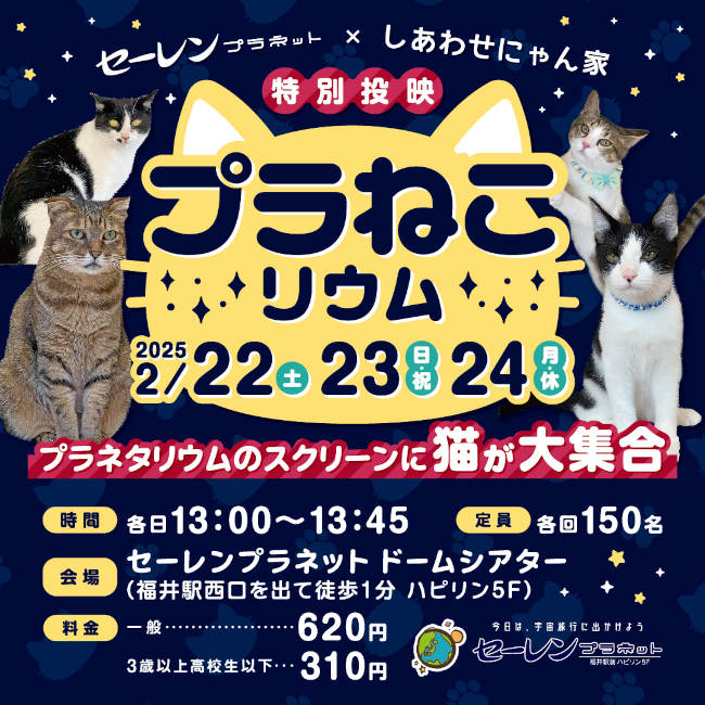 プラねこリウム メイン画像