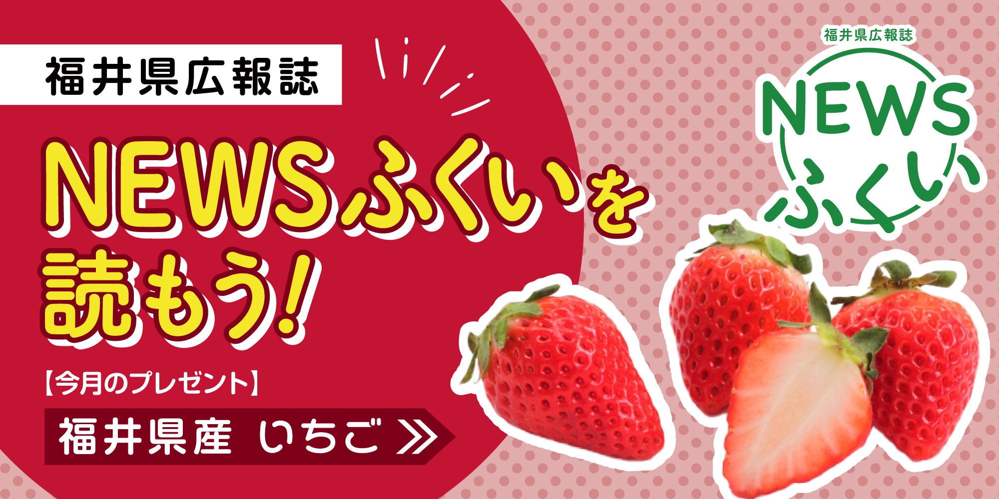 毎月第4日曜日発刊の福井県広報誌『NEWSふくい』を読もう♪ 2025年3月号は「いちご」をプレゼント！