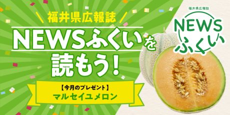 【2025サンプル用】 毎月第4日曜日発刊の福井県広報誌『NEWSふくい』を読もう♪ 2025年6月号は「マルセイユメロン」をプレゼント！