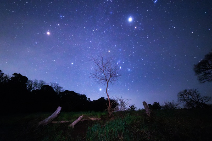 水仙畑に輝く星々！ 越前町の梨子ヶ平で星を見てきました！【ふくい星空写真館】