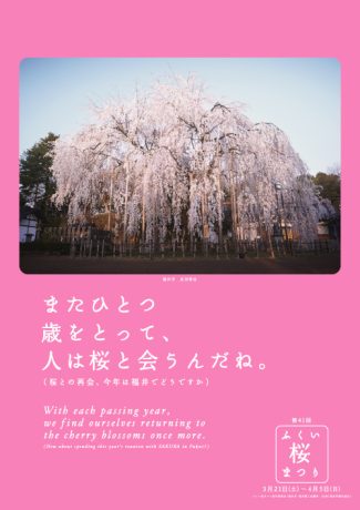 第41回 ふくい桜まつり
