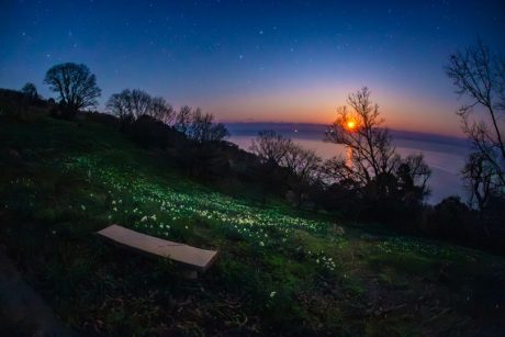 待ちに待った越前水仙と星空！ 越前町の梨子ヶ平で星を見てきました！【ふくい星空写真館】