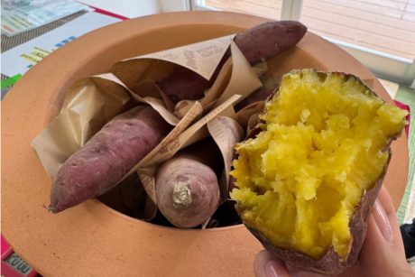 エルパ近く！北陸旅行敷地内に壺焼きいも専門店「はるもしり」がオープン！ 旅行会社に焼きいも屋！？  しかも「壺焼きいも」って普通とどう違うの？ 実際に食べてみました。