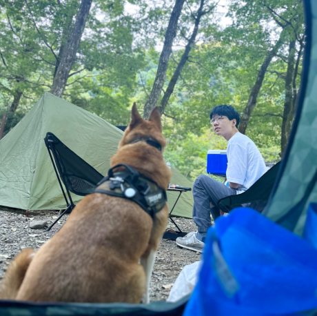【犬と猫と人間（僕）の徒然なる日常。】第26話：桜散るとも、気づきの春。