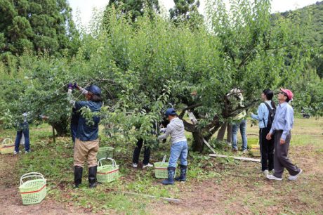第30回 河野うめまつり