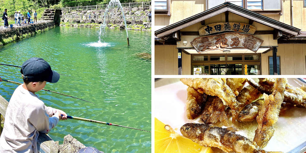 【福井の釣り堀】釣って食べて子どもも大満足！ 池田町「天池乃宿」は手ぶらOKで初心者にもおすすめ！