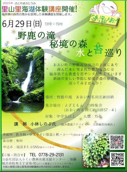 野鹿の滝　秘境の森　水と苔巡り メイン画像
