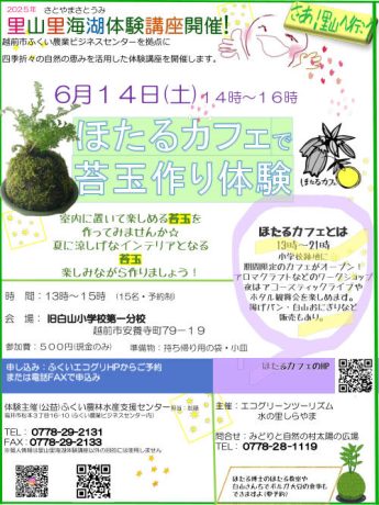 ほたるカフェで苔玉作り体験！