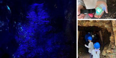 岐阜「笹洞蛍石鉱山」でリアル採掘体験！青く光る鉱石の上を歩いて、マイクラ好きの子どもも大興奮！