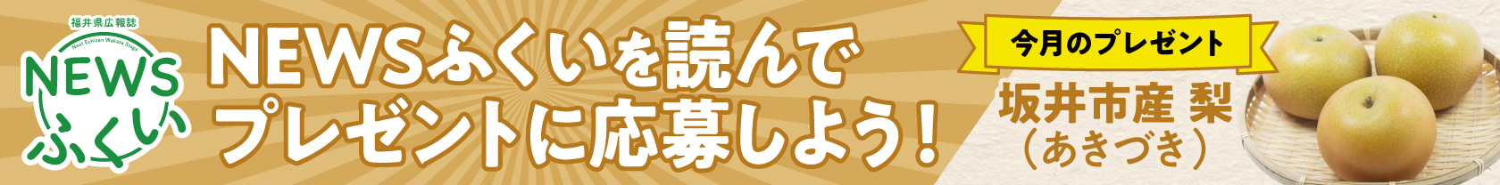 NEWSふくい