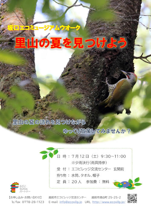 里山の夏を見つけよう メイン画像