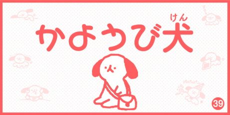 【4コマ漫画】かようび犬・39日目「おでかけ」