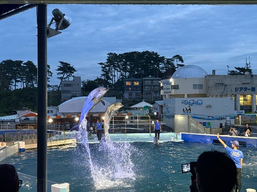 越前松島水族館 ナイター営業 メイン画像