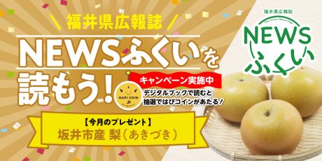 毎月第4日曜日発刊の福井県広報誌『NEWSふくい』を読もう♪ 2025年8月号は「坂井市産 梨」をプレゼント！