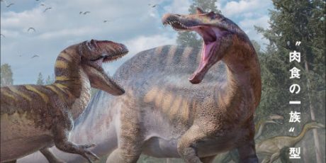 開館25周年記念特別展 獣脚類2025 「フクイ」から探る恐竜の進化