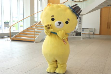 【プレゼント付】坂井市公式キャラクターの「坂井ほや丸」を紹介！【福井ゆるキャラ図鑑】