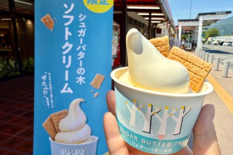 「シュガーバターの木」がソフトクリームに！？南越前町の南条SA(下り)で超レアなソフトクリームを販売中！