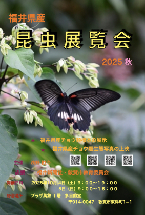 福井県産昆虫展覧会2025秋 メイン画像