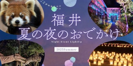 福井の夏の「夜イベント・夜のおでかけスポット」まとめ。ナイトプール・夜市・ライトアップ・夜の恐竜探検や動物園も！