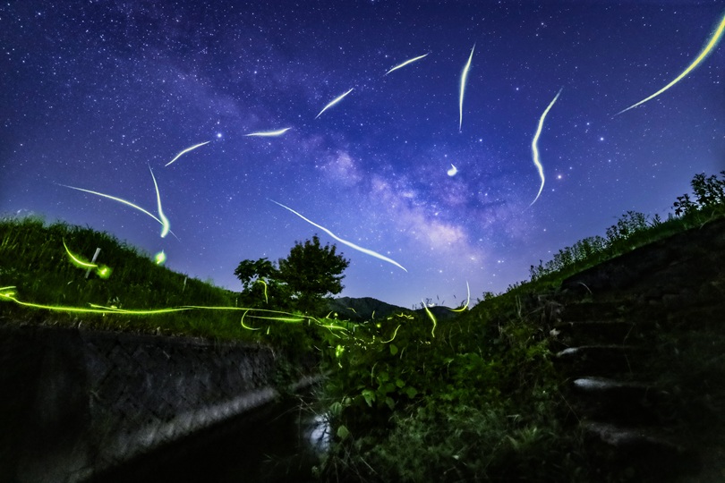 飛び交うホタルと天の川!永平寺町・荒川で幻想的な星空と出会いました【ふくい星空写真館】