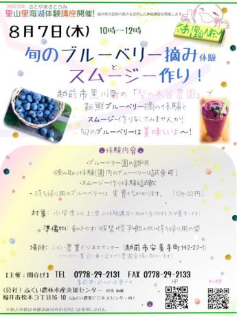 旬のブルーベリー摘みとスムージー作り体験