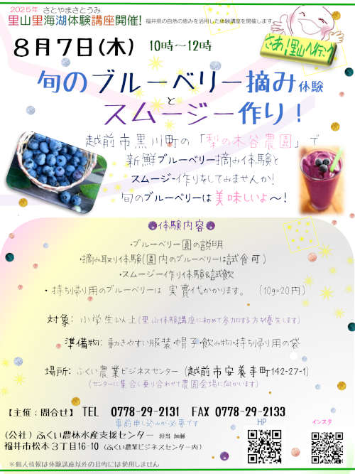 旬のブルーベリー摘みとスムージー作り体験 メイン画像