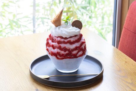 【かき氷速報】 福井市下馬に《ウミネコパーラー》監修のかき氷専門店「風と、こもれ日と、樹々（きぎ）。」がオープン。
