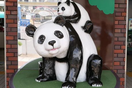 【和歌山】「とりあえずパンダで」とか言っとく。《街角リレーエッセイ 第1レーン》