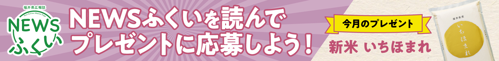 NEWSふくい