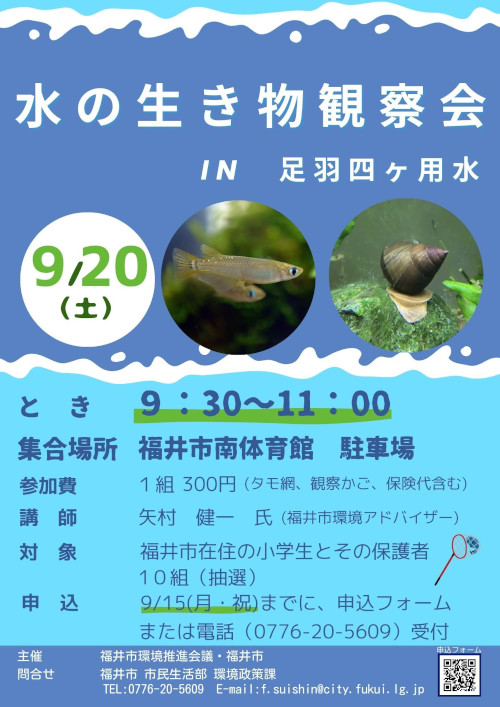 水の生き物観察会in足羽四ヶ用水 メイン画像