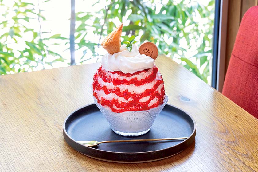 風と、こもれ日と、樹々。（きぎ） メイン画像
