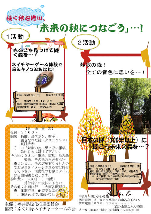 未来の秋につなごう！～巨大ケヤキの群生を観察～ メイン画像