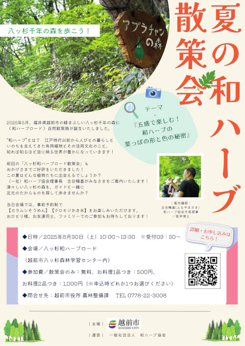 和ハーブ博士になろう！100種が生える八ッ杉で散策講座 メイン画像
