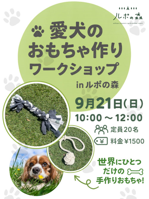 ＼世界にひとつ！森の中で、愛犬のおもちゃづくり／【ワークショップ】 メイン画像