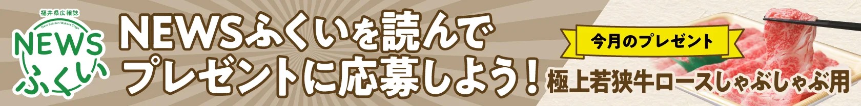 NEWSふくい11月