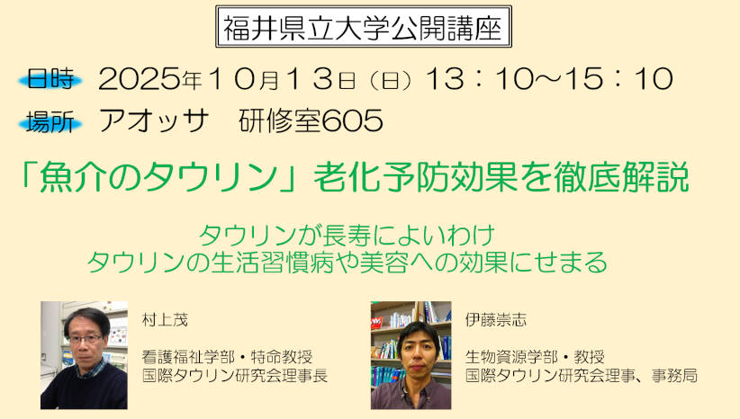 「魚介のタウリン」老化予防効果を徹底解説 メイン画像