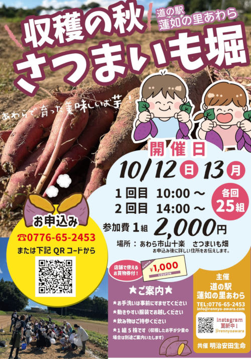秋のさつまいも収穫体験　お買物券付