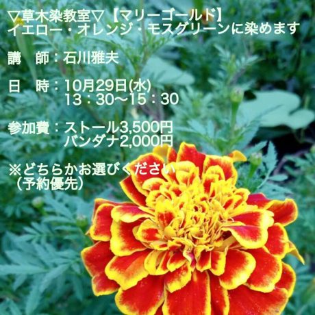 草木染教室【マリーゴールド染】