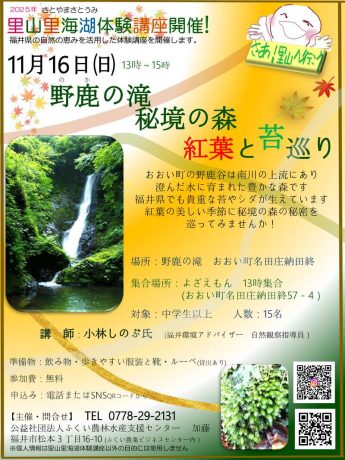 野鹿の滝 秘境の森 紅葉と苔巡り体験
