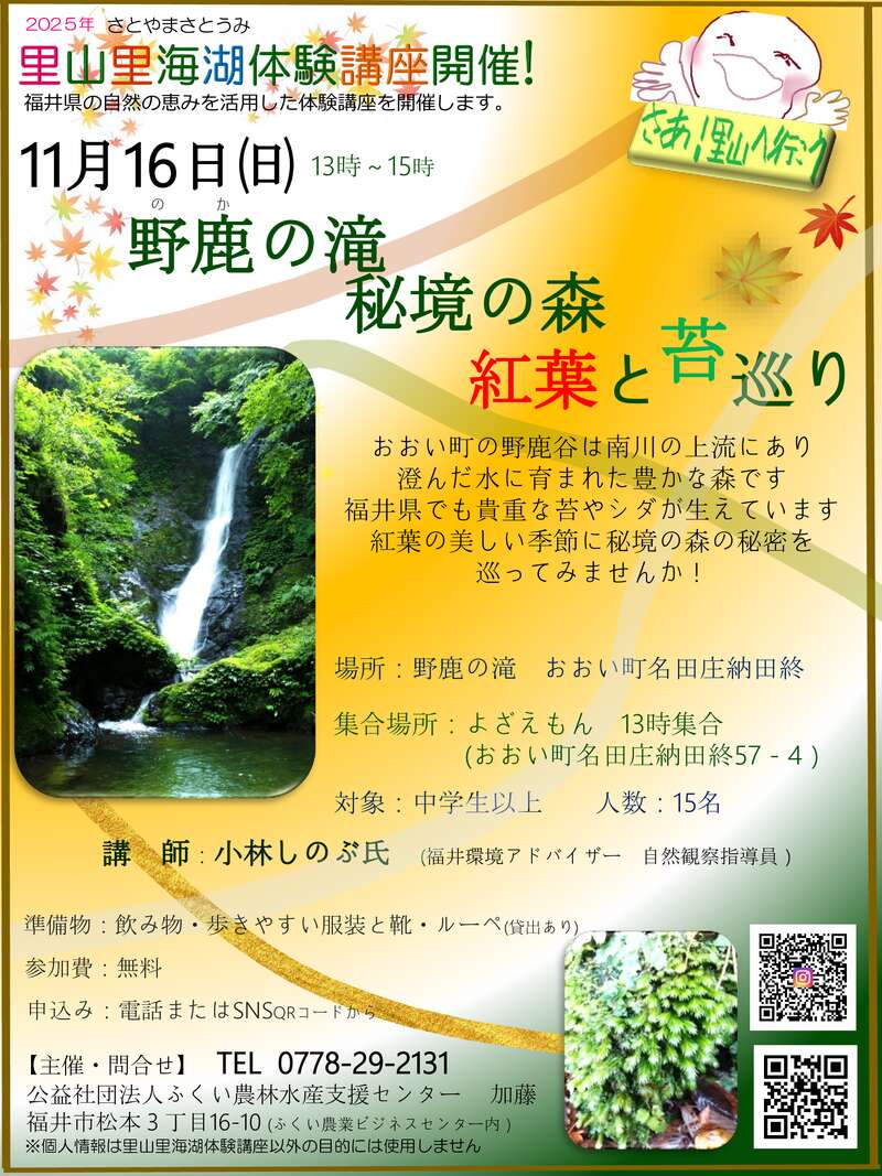 野鹿の滝 秘境の森　紅葉と苔巡り体験 メイン画像