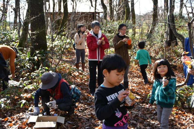 落ち葉の森であそぼう メイン画像