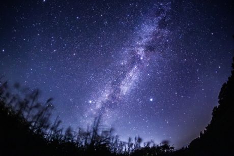 ススキと西空の夏の天の川 大野市・経ヶ岳登山口展望台で見てきました【ふくい星空写真館】