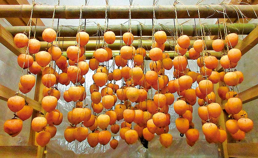 秋の味覚を楽しもう！11/30(日)に「第2回 今庄つるし柿フェスタ」開催。南越前町の名物・つるし柿が主役