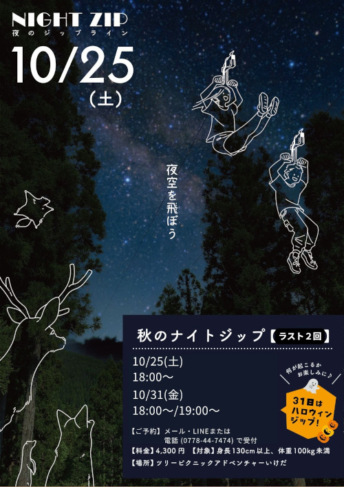 ナイトジップライン メイン画像