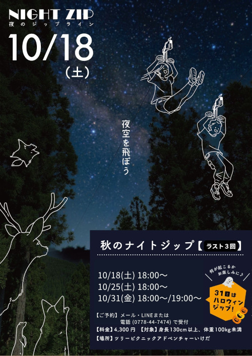 ナイトジップライン メイン画像
