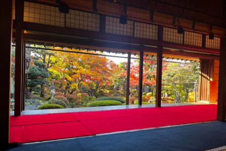 御堂陽願寺 秋の特別拝観