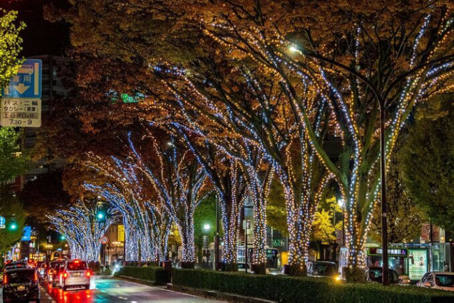 とやまスノーピアード2026 サブ画像